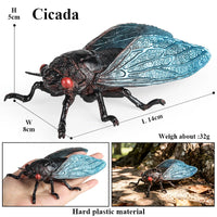insect model 3