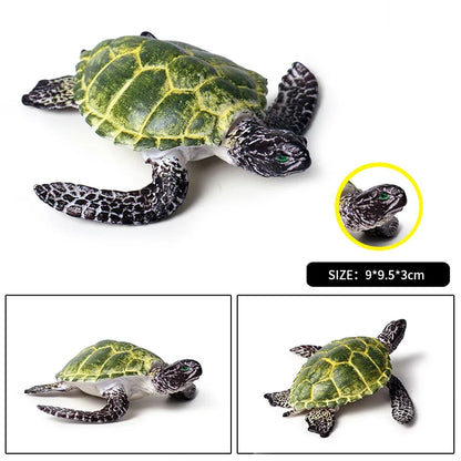 Oenux Ocean Animals  Leatherback Tortoise Turtle Growth Cycle Sea Life Model Figurines Action Figures PVC Education Kid Toy Gift