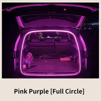 4M Pink purple