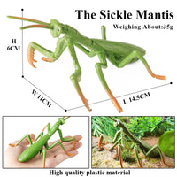 insect model 17