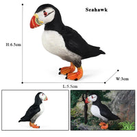 bird 25