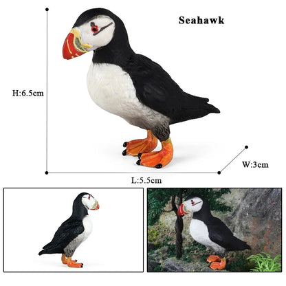 Oenux Garden Bird Figurines Snowy Owl Toucan Bucerotidae Animals Model PVC Action Figures Collection Toys For Kids Birthday Gift