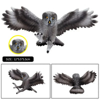bird 38
