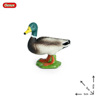 animals model 29