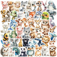 50PCS