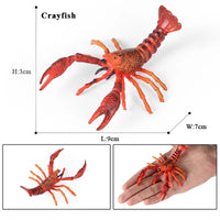 Shrimp model 13