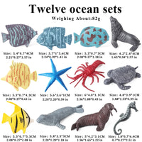 12pcs 21