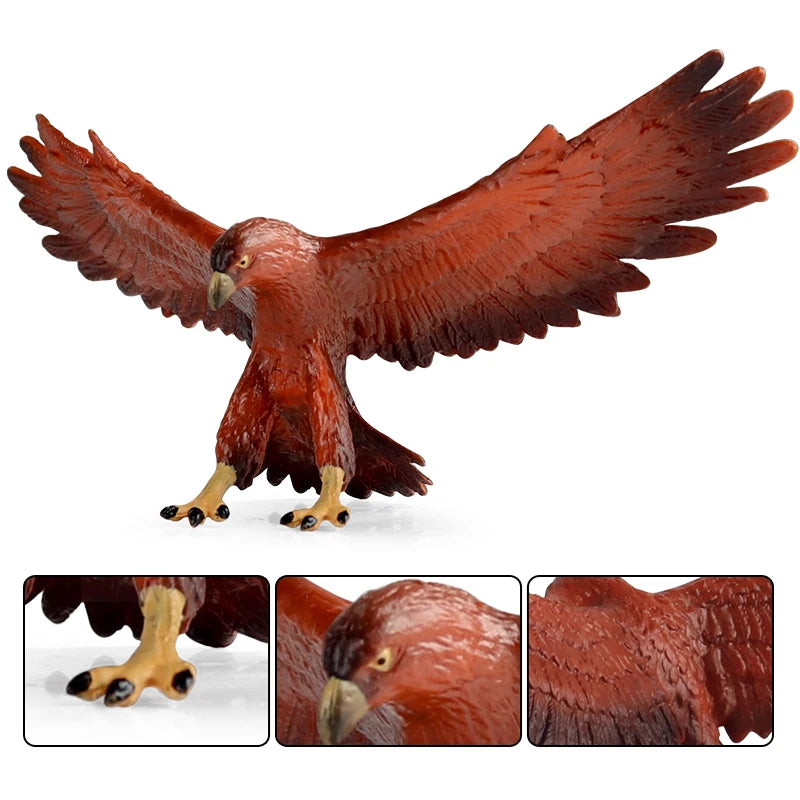 Oenux Wild Bird Animals Forest Night Eagle Condor Figurines PVC Action Figure Garden Decoration Education Miniature Toy Kid Gift