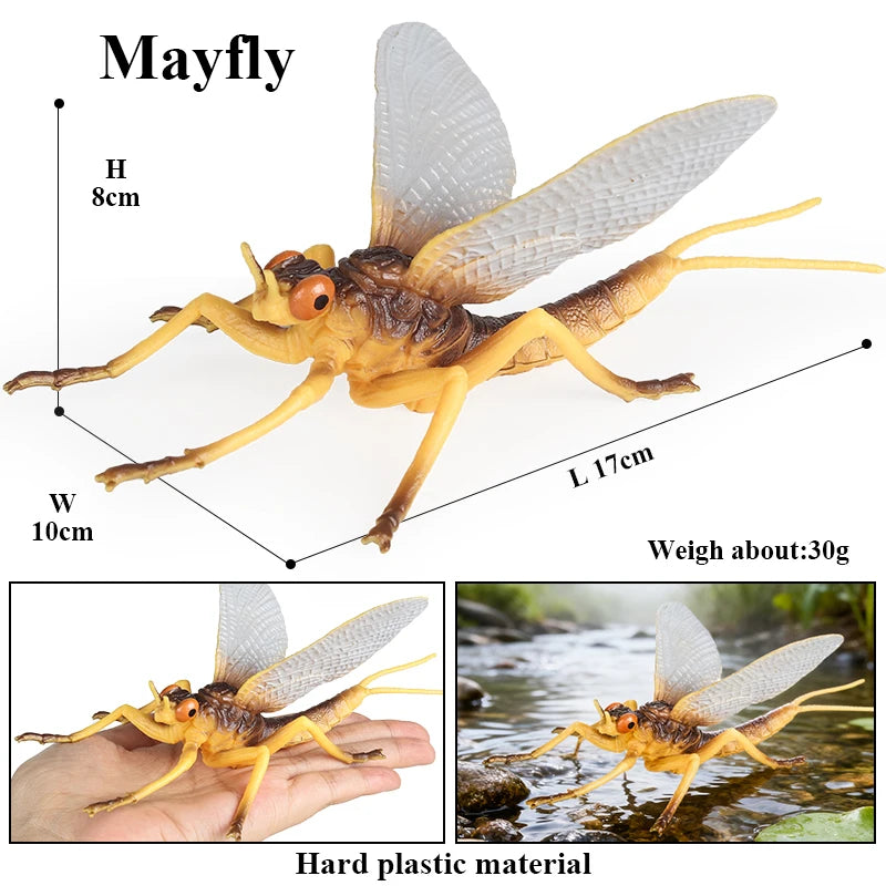 Oenux Insect Animals Model Figurine Butterfly Ant Dragonfly Spider Bee Mantis Scorpion Action Figures Educational Kid Toy Gift