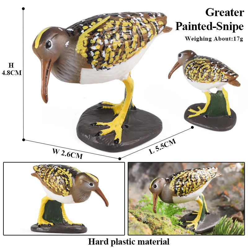 Oenux Garden Bird Figurines Snowy Owl Toucan Bucerotidae Animals Model PVC Action Figures Collection Toys For Kids Birthday Gift