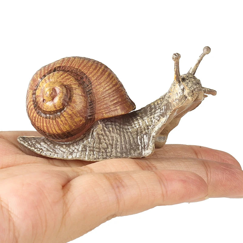 Oenux Wild Insect Animals Snails Growth Cycle Model Garden Decoration Figurines PVC Miniature Cute Education Kids Toys