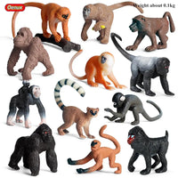 12pcs 25