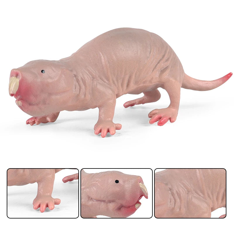 Oenux Wild Animals Simulation Rodent Marmot Mouse Model Squirrel Rat Chinchilla Action Figure Figurine Collection Cute Kid Toy