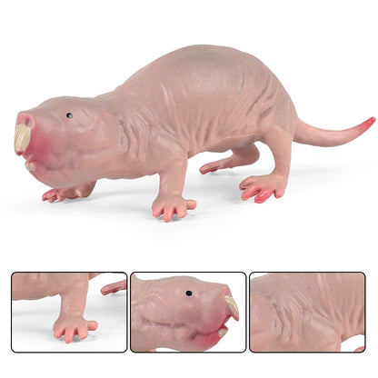 Oenux Wild Animals Simulation Rodent Marmot Mouse Model Squirrel Rat Chinchilla Action Figure Figurine Collection Cute Kid Toy