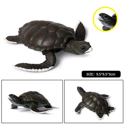 Oenux Ocean Animals  Leatherback Tortoise Turtle Growth Cycle Sea Life Model Figurines Action Figures PVC Education Kid Toy Gift
