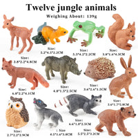 12pcs 7