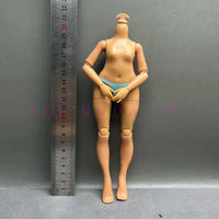 B17-Height 24cm