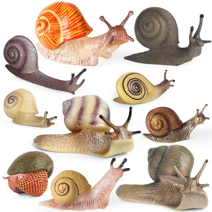 Oenux Wild Insect Animals Snails Growth Cycle Model Garden Decoration Figurines PVC Miniature Cute Education Kids Toys