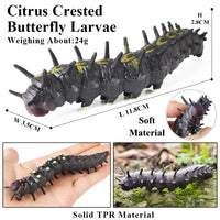 animals model 10