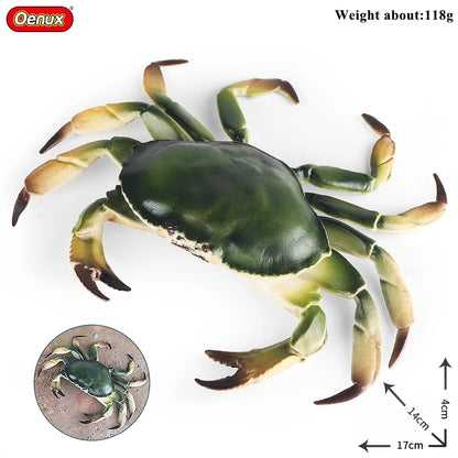 Oenux Ocean Animals Simulation Hermit Crab Nautiloidea Octopus Sea Life Model Figurines Action Figures Collection Kids Toy Gift