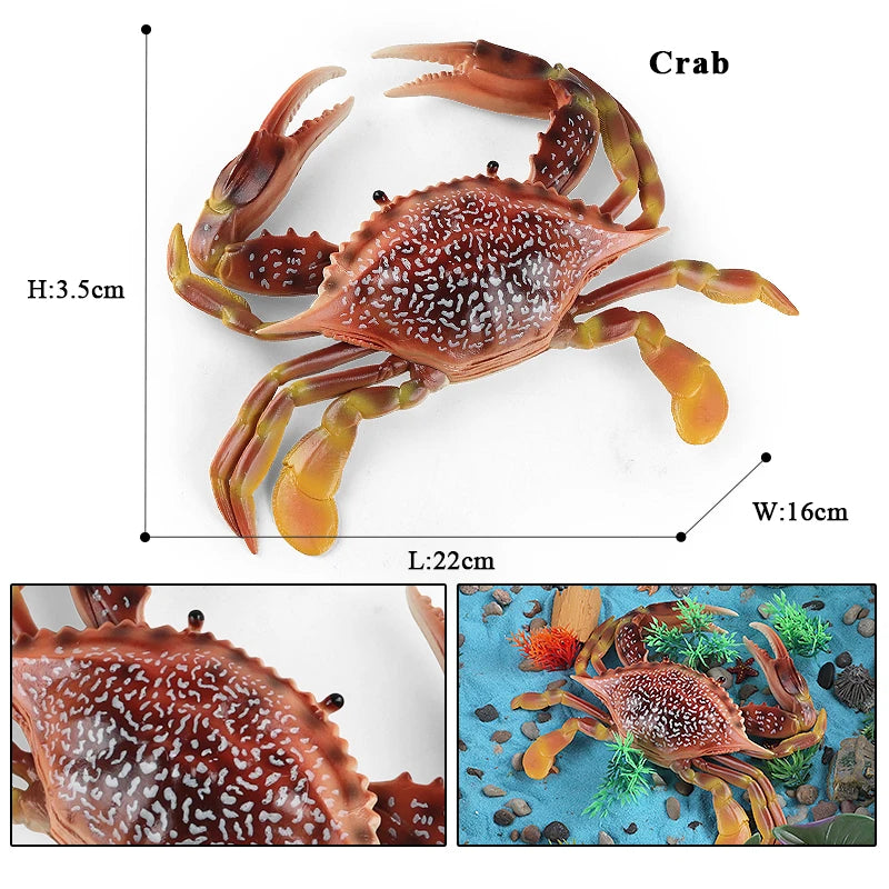 Oenux Simulation Ocean Sea Life Animals Model Lovely Crab Action Figures Toy Cake Toppers Collection Jouet Kids Education Gift