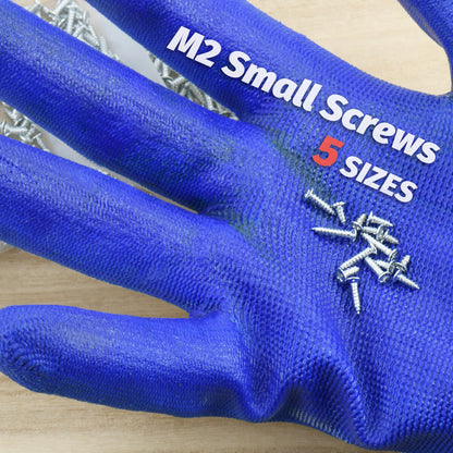 500pcs Mini M2 Self Tapping Screws Phillips Flat Head Alloy Steel Assortment Kit 5 Sizes Cross Drive DIY Set for Electronics