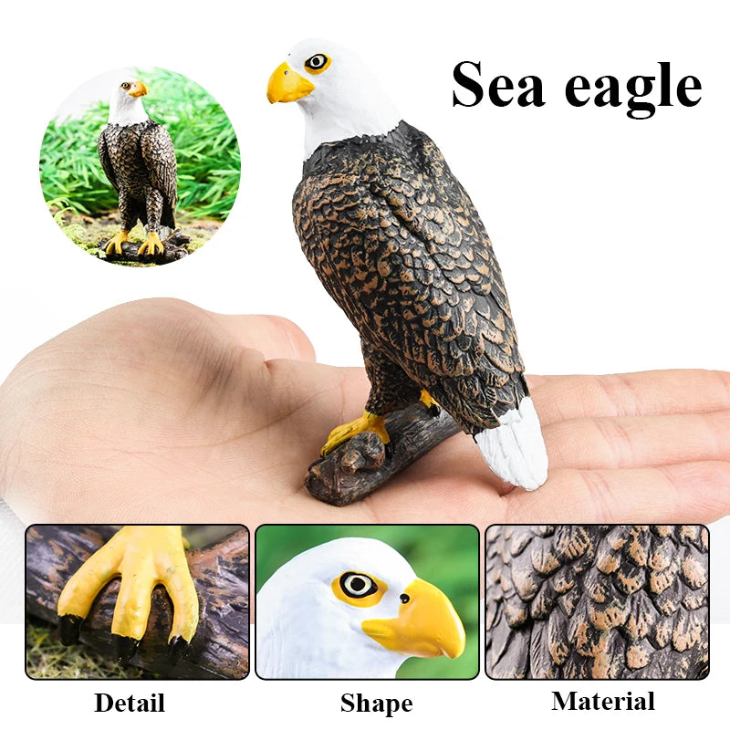 Oenux Wild Bird Animals Forest Night Eagle Condor Figurines PVC Action Figure Garden Decoration Education Miniature Toy Kid Gift