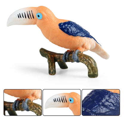 Oenux Garden Bird Figurines Snowy Owl Toucan Bucerotidae Animals Model PVC Action Figures Collection Toys For Kids Birthday Gift