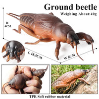 animals model 16