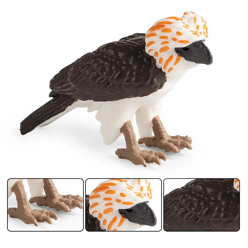 Oenux Wild Bird Animals Forest Night Eagle Condor Figurines PVC Action Figure Garden Decoration Education Miniature Toy Kid Gift