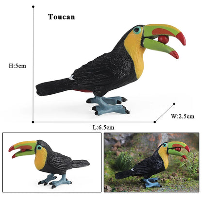 Oenux Garden Bird Figurines Snowy Owl Toucan Bucerotidae Animals Model PVC Action Figures Collection Toys For Kids Birthday Gift