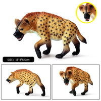 1piece dog model 4