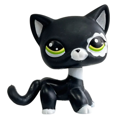 Rare pet toy Stands Short Hair Kitten Dog Dachshund Collie Spaniel Great Dane Original Bobble head toy lps