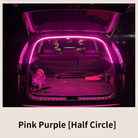 2M Pink purple