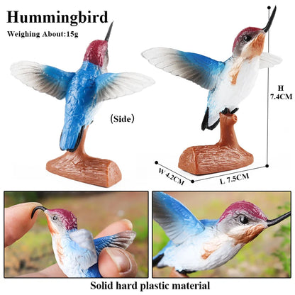 Oenux Garden Bird Figurines Snowy Owl Toucan Bucerotidae Animals Model PVC Action Figures Collection Toys For Kids Birthday Gift