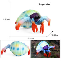 animal model 11