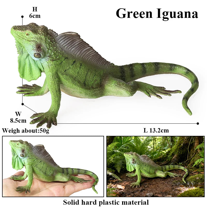 Oenux New Simulation Wild Reptile Animals Action Figures Lizard Model Figurines Kids Education Congnitive Scene Decoration Toy