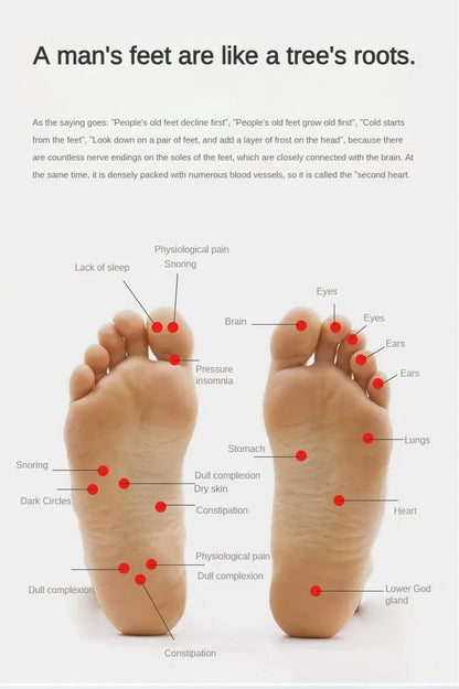 Foot Massager Roller Feet Acupressure Point Massage Plantar Fasciitis Pain Relief Relax Roller Trigger Point Reflexology Tool