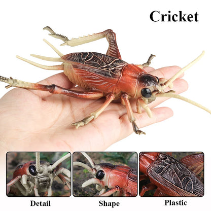 Oenux Insect Animals Model Figurine Butterfly Ant Dragonfly Spider Bee Mantis Scorpion Action Figures Educational Kid Toy Gift