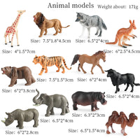 12pcs 28