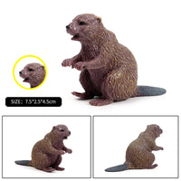 animals model 2