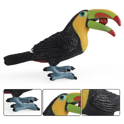 Oenux Garden Bird Figurines Snowy Owl Toucan Bucerotidae Animals Model PVC Action Figures Collection Toys For Kids Birthday Gift