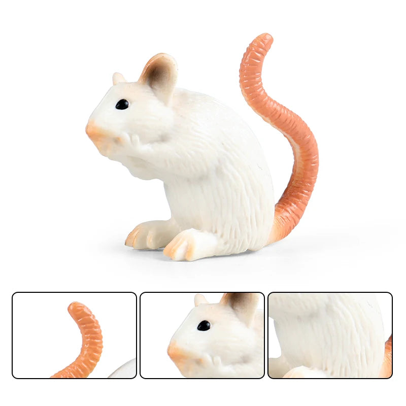 Oenux Wild Animals Simulation Rodent Marmot Mouse Model Squirrel Rat Chinchilla Action Figure Figurine Collection Cute Kid Toy
