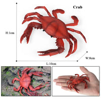 animal model