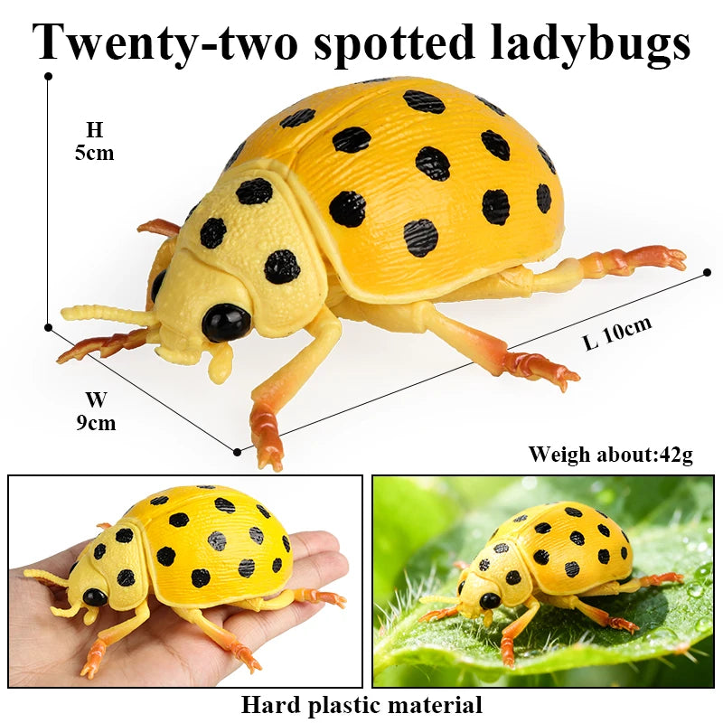 Oenux Insect Animals Model Figurine Butterfly Ant Dragonfly Spider Bee Mantis Scorpion Action Figures Educational Kid Toy Gift