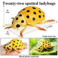 insect model