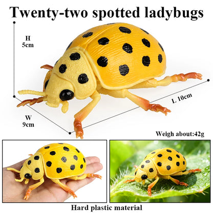 Oenux Insect Animals Model Figurine Butterfly Ant Dragonfly Spider Bee Mantis Scorpion Action Figures Educational Kid Toy Gift