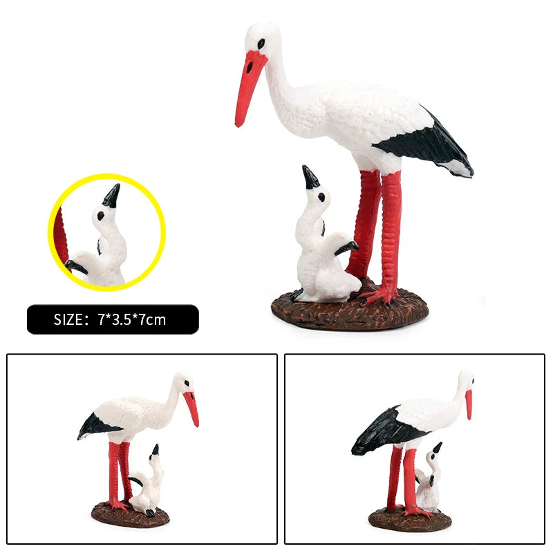 Oenux Garden Bird Figurines Snowy Owl Toucan Bucerotidae Animals Model PVC Action Figures Collection Toys For Kids Birthday Gift