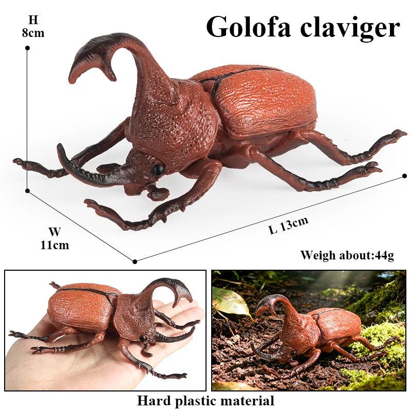 Oenux Insect Animals Model Figurine Butterfly Ant Dragonfly Spider Bee Mantis Scorpion Action Figures Educational Kid Toy Gift