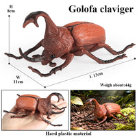 insect model 4